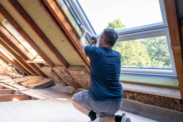 Best Residential Window Installation  in Arcadia, WI